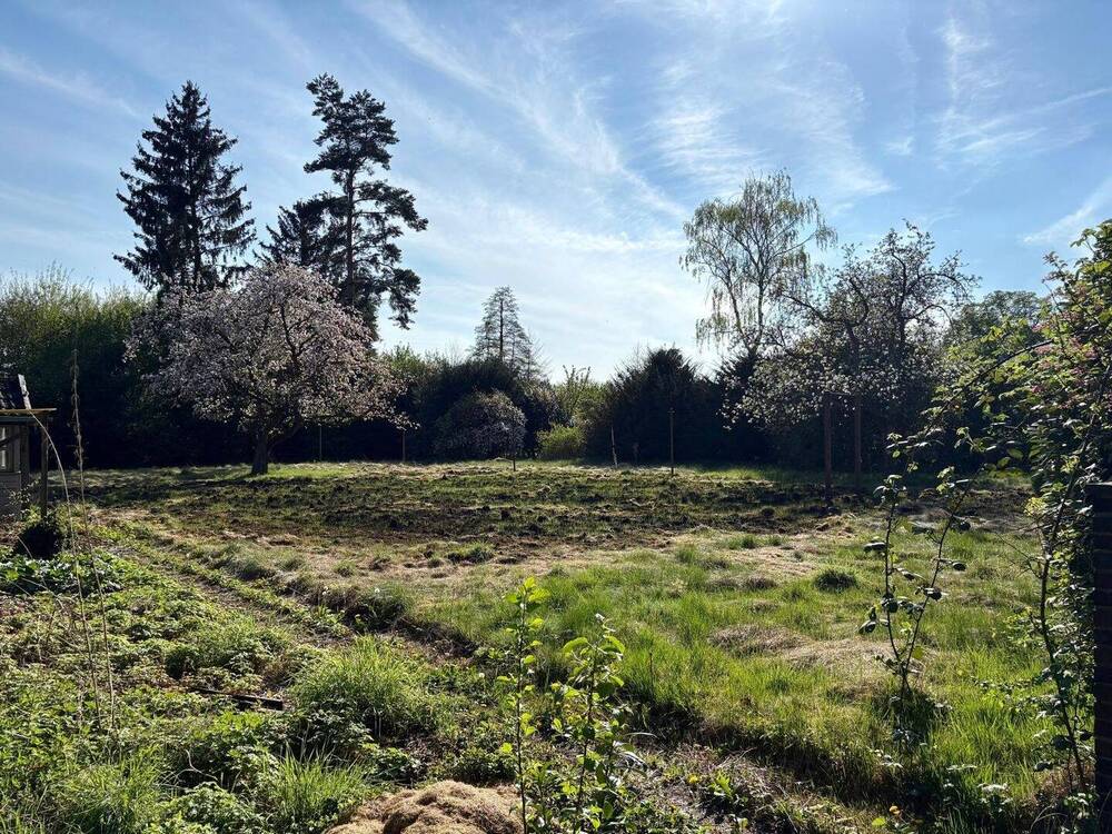 Thumbnail-Traumgrundstück im Grünen! Mit positven Bauvorbescheid!