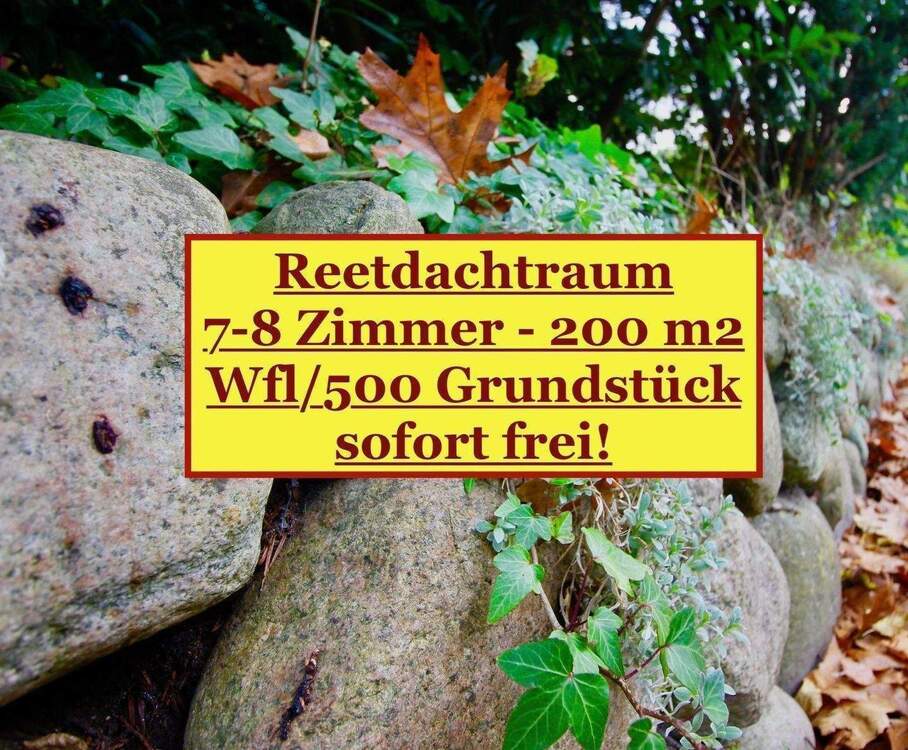 Thumbnail-Fachwerk Reetdach und Edelstahl - modernes Wohnen in nostalgischem Anwesen