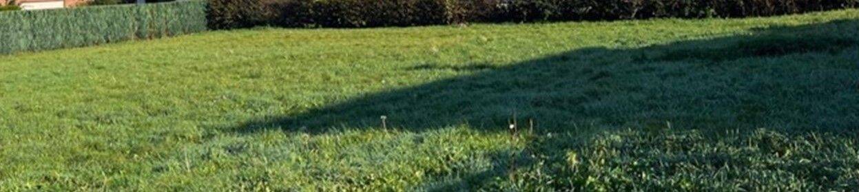 Thumbnail-Traumgrundstück im Grünen!