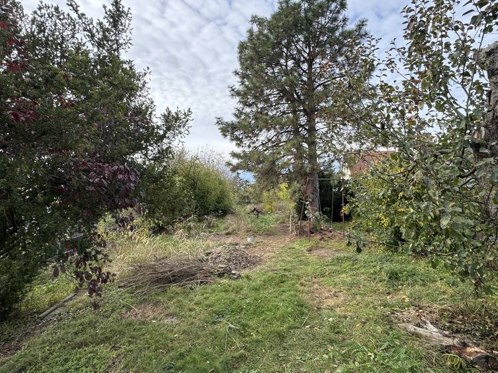 Thumbnail-Baugrundstück in Wiedemar mit Potenzial - Ihr ScanHaus verwirklichen