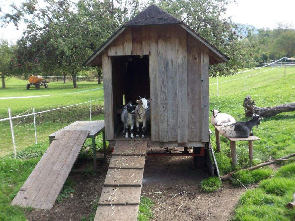 Thumbnail-Großzügige Erdgeschoß-Wohnung KFW-Förderung zu 1,03% Zinsen möglich