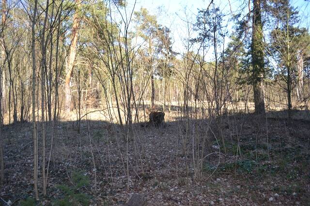 Thumbnail-Baugrund für Einfamilienhaus