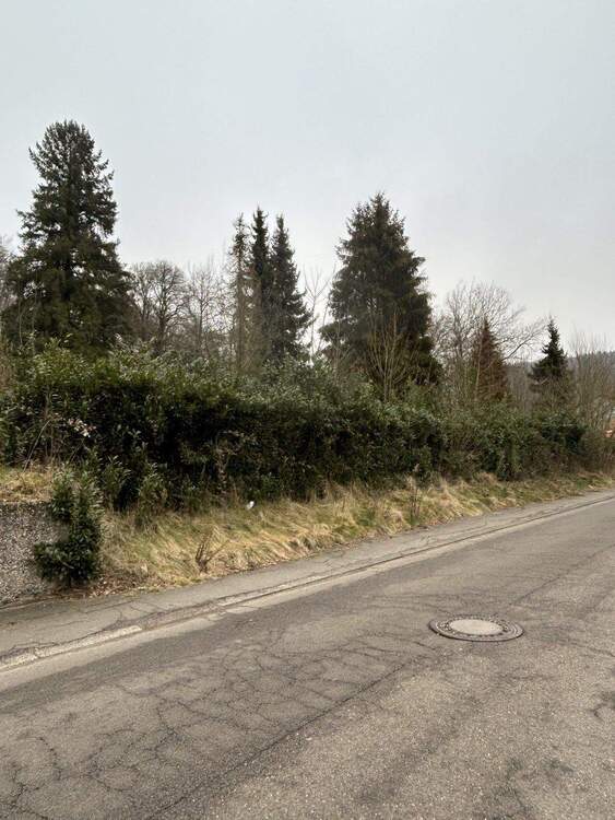 Thumbnail-Baugrundstück in Waldrandlage in St. Ingbert-Reichenbrunn zu verkaufen