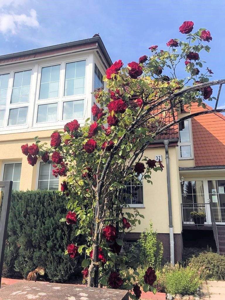 Thumbnail-Ein Zweifamilienhaus, auch als Einfamilienhaus nutzbar