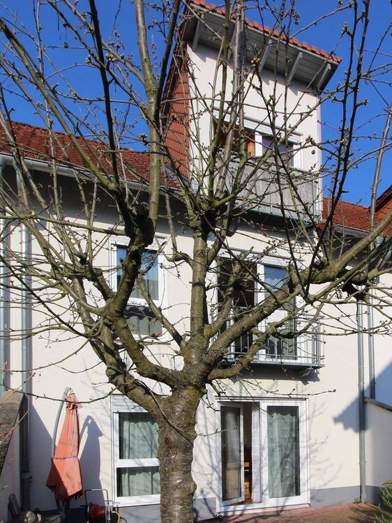 Thumbnail-Fertig zum Einziehen: Gemütliches Reihenmittelhaus für Ihre Familie!