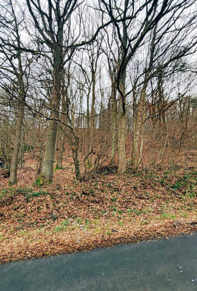 Thumbnail-Mitten in der Natur!