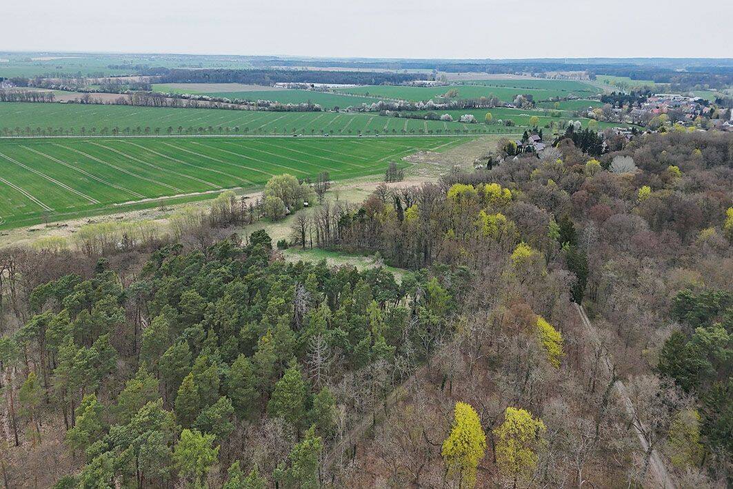 Thumbnail-1,6 ha forstwirtschaftliche Fläche