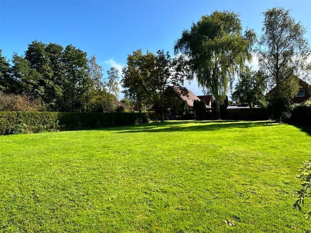 Thumbnail-grünes Schmuckstück