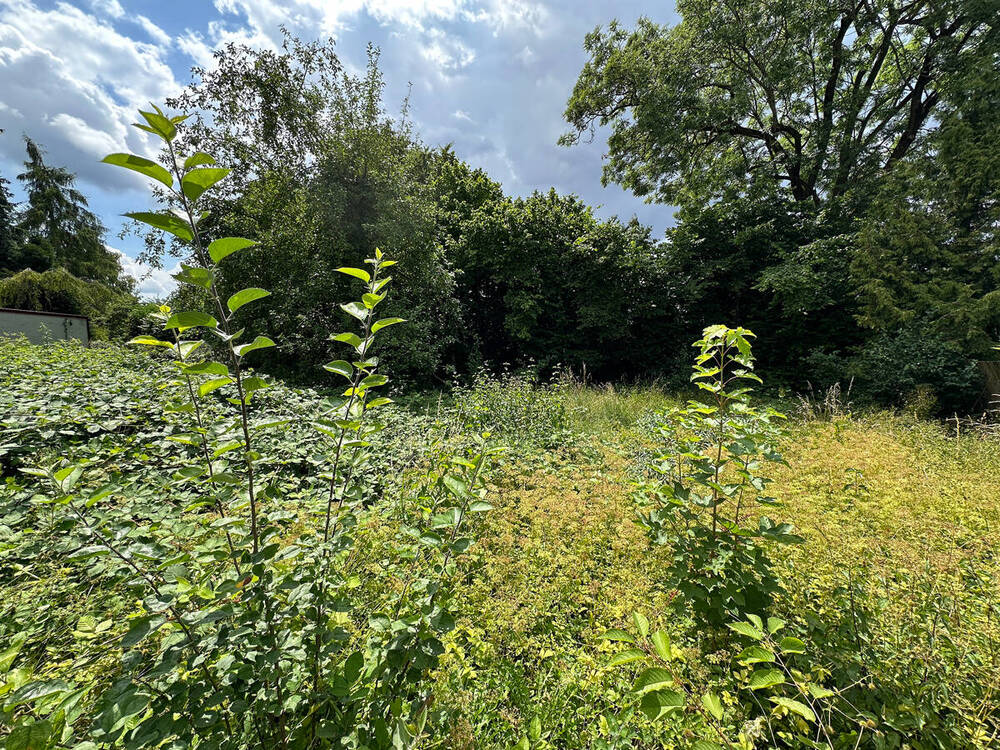Garten-hinterer-Teil