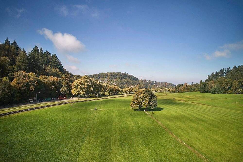 Thumbnail-Modernisiertes 4-Fam.Haus Bj. 1890 + Fabrik-Loft-Etage + viele neue Details + 405qm WNF + 528qm GS + Gartenhs + Paradiesgarten + ideal f. Aufteilg