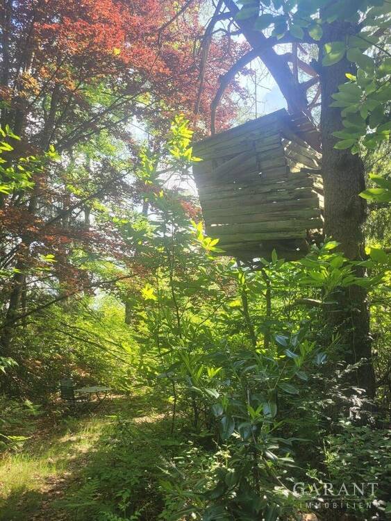 Thumbnail-Idyllisches Baugrundstück umgeben von Natur