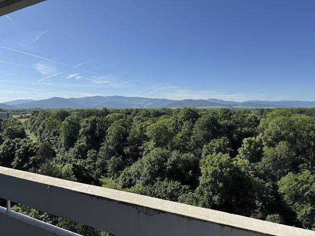 Thumbnail-Wohnen direkt am Waldrand mit toller Sicht und PROVISIONSFREI