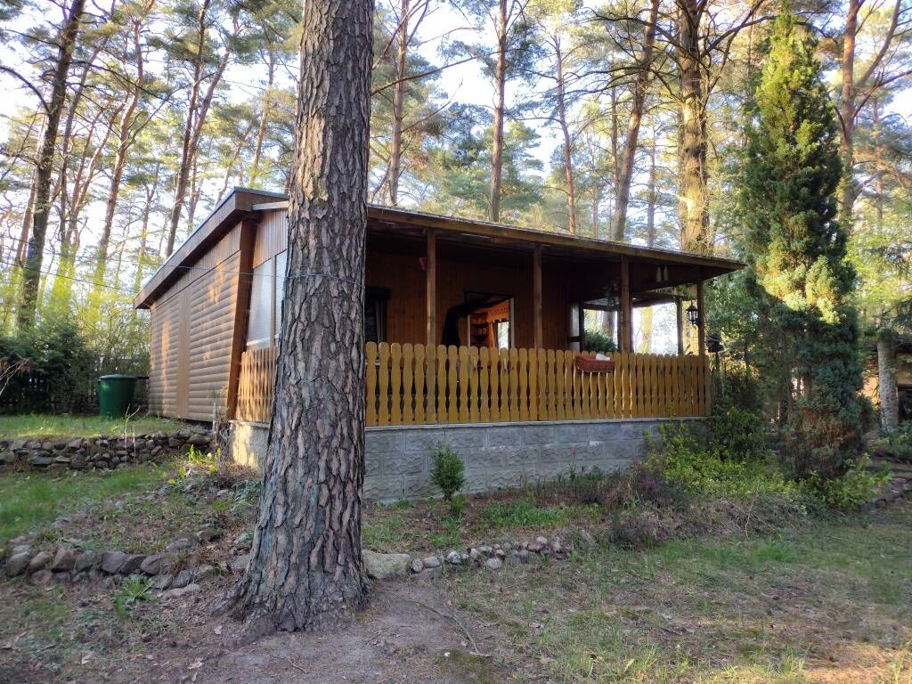 Thumbnail-Großes Wochenendgrundstück im Wald bei Biesenthal - schnell von Berlin aus erreichbar