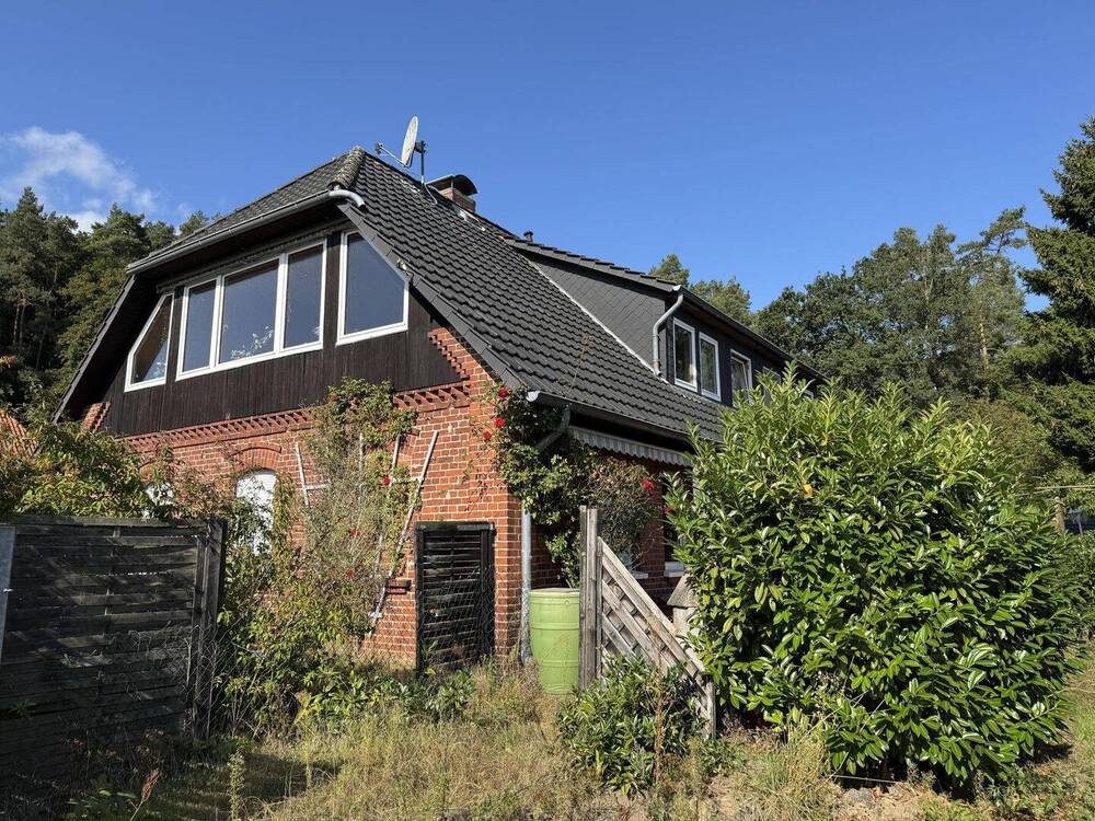 Thumbnail-Charmantes Mehrfamilienhaus mit Elbblick - vielseitig nutzbar für Anleger und spätere Selbstnutzer