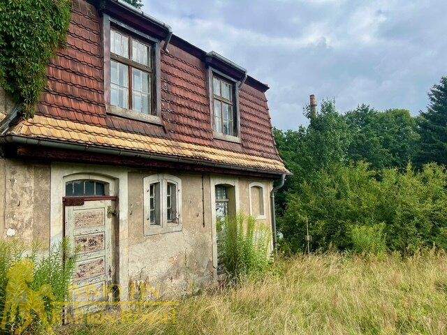 Thumbnail-Platz für Ideen - Lagerfläche mit vier Garagen in ruhiger Lage mit Entwicklungspotential