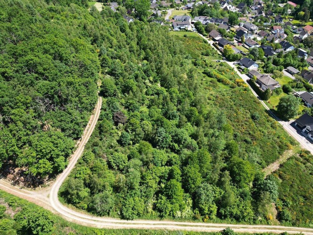 Thumbnail-Wald bei Reichshof-Oberagger – ca. 15.000 m² Mischwald