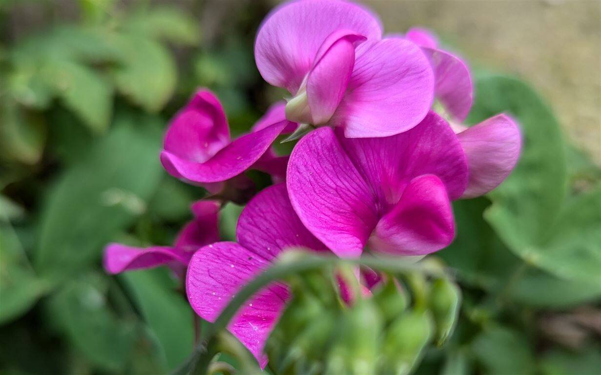 Thumbnail-2 - Zimmer - Eigentumswohnung mit Balkon in der KTV