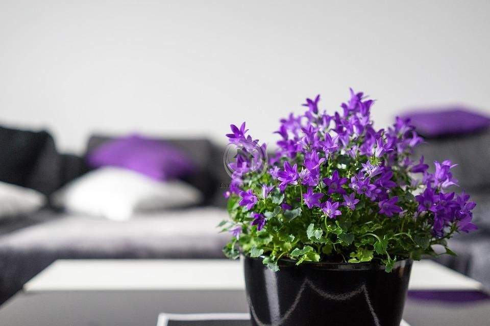 Thumbnail-!!! ImmoPoint !!! (5) 6-Familienhaus in TOP LAGE !!!