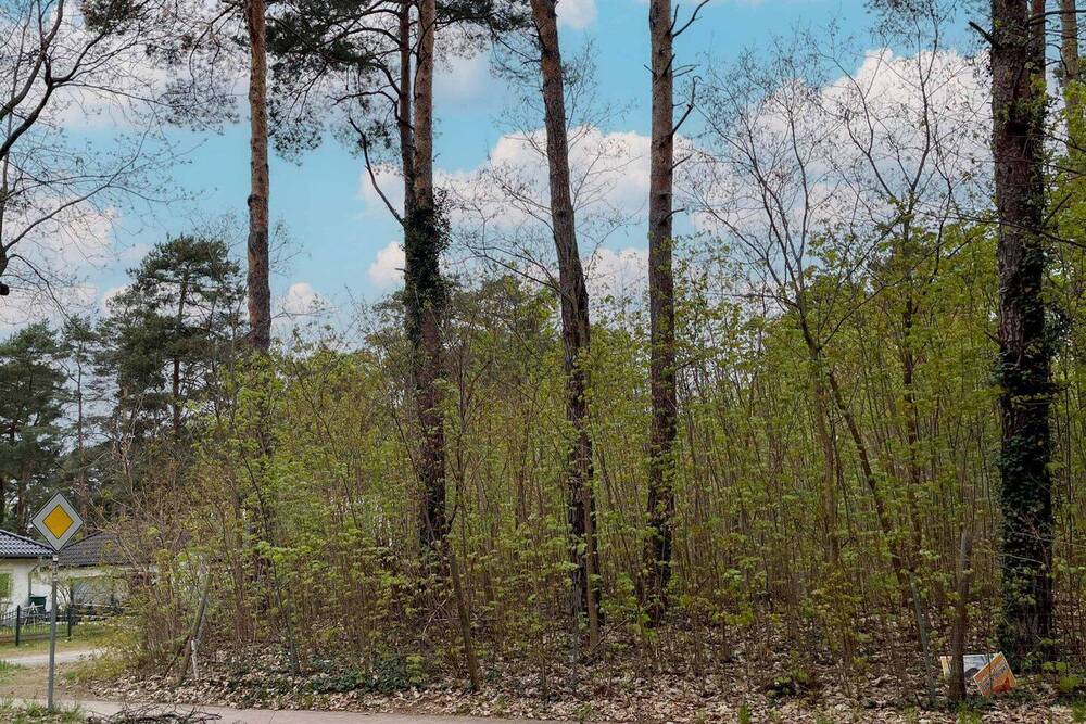 Thumbnail-Attraktives Grundstück in Seenähe zum Krüpelsee in Königs Wusterhausen