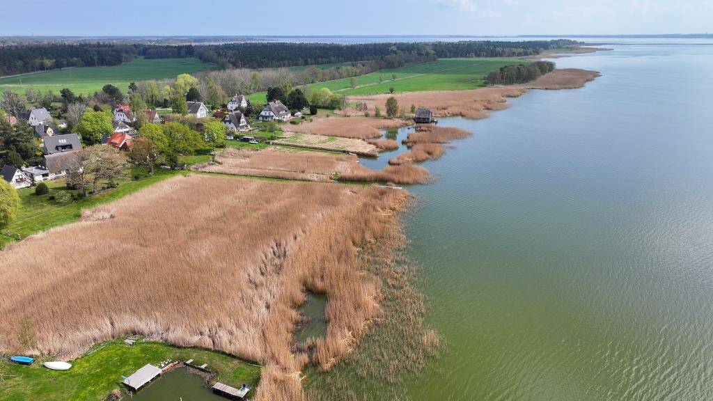 Thumbnail-Freigezogenes Reetdach-Haus am Bodden