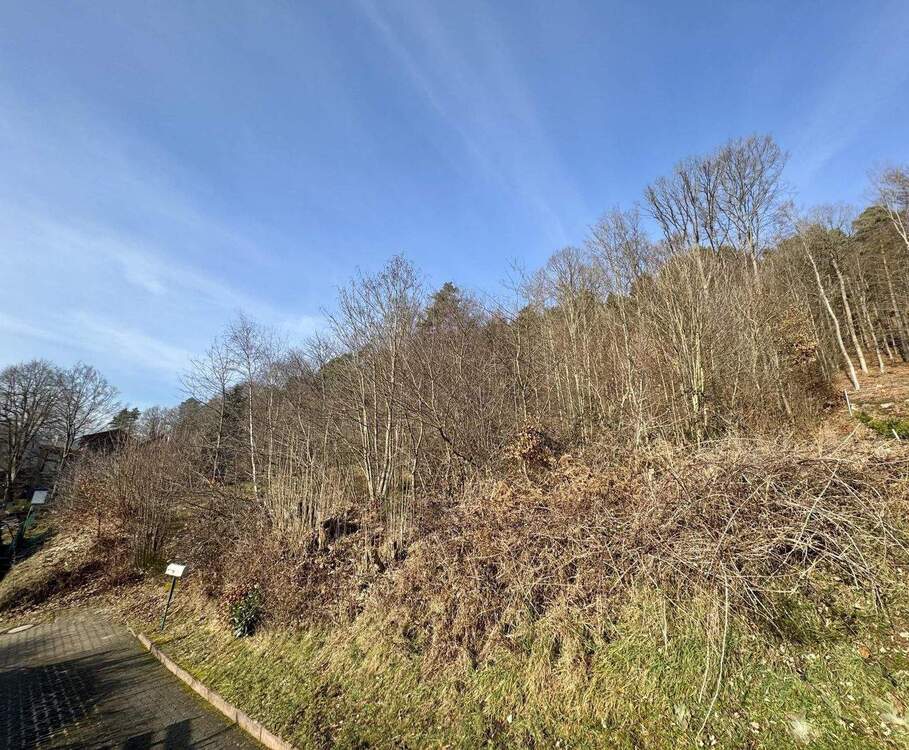 Thumbnail-Kaiserslautern - Stadtteil Mölschbach: Schönes Baugrundstück in Ortsrandlage