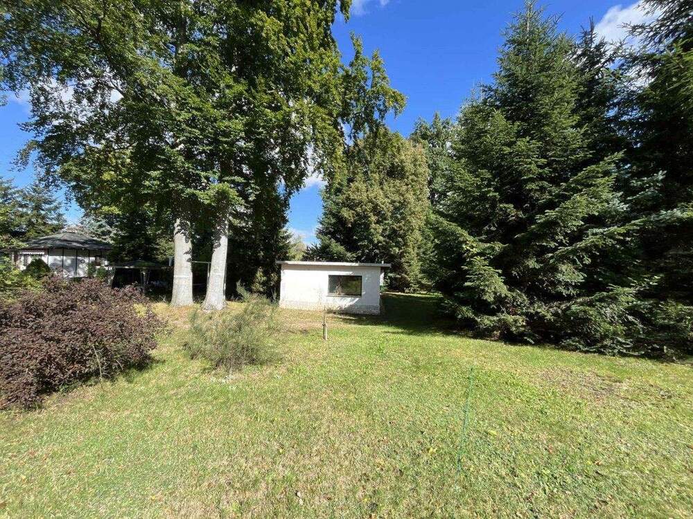 Thumbnail-Liegau-Augustusbad: Großes Bauland am Waldrand