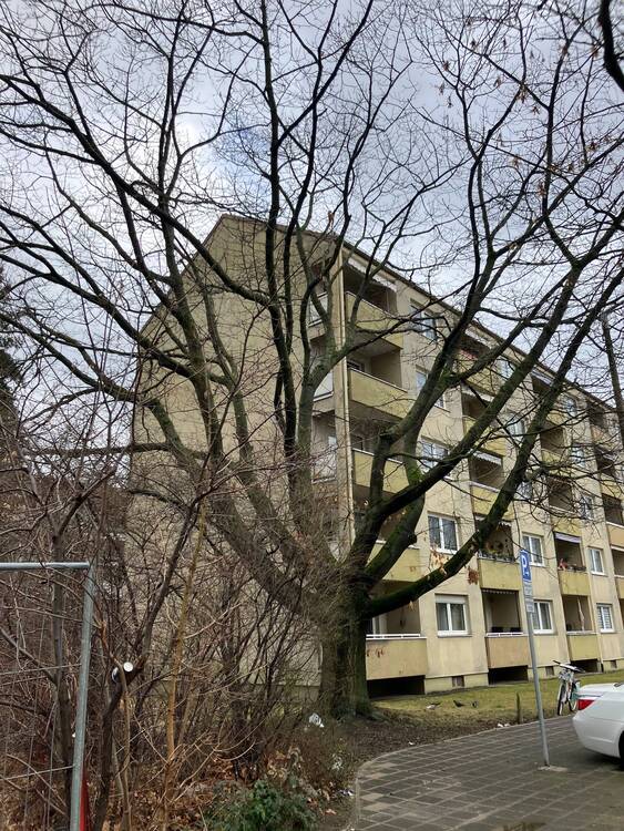 Thumbnail-Attraktives Baugrundstück für Mehrfamilienhaus in Nürnberg Sündersbühl