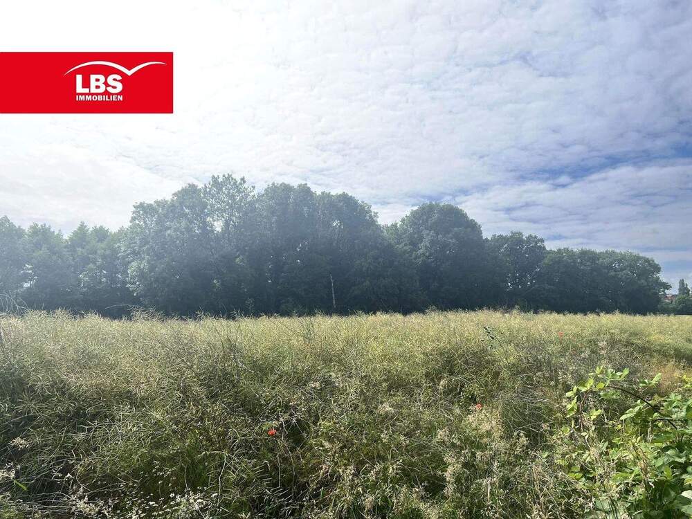 Thumbnail-Großzügiges Baugrundstück in Bestlage Bad Oeynhausens!