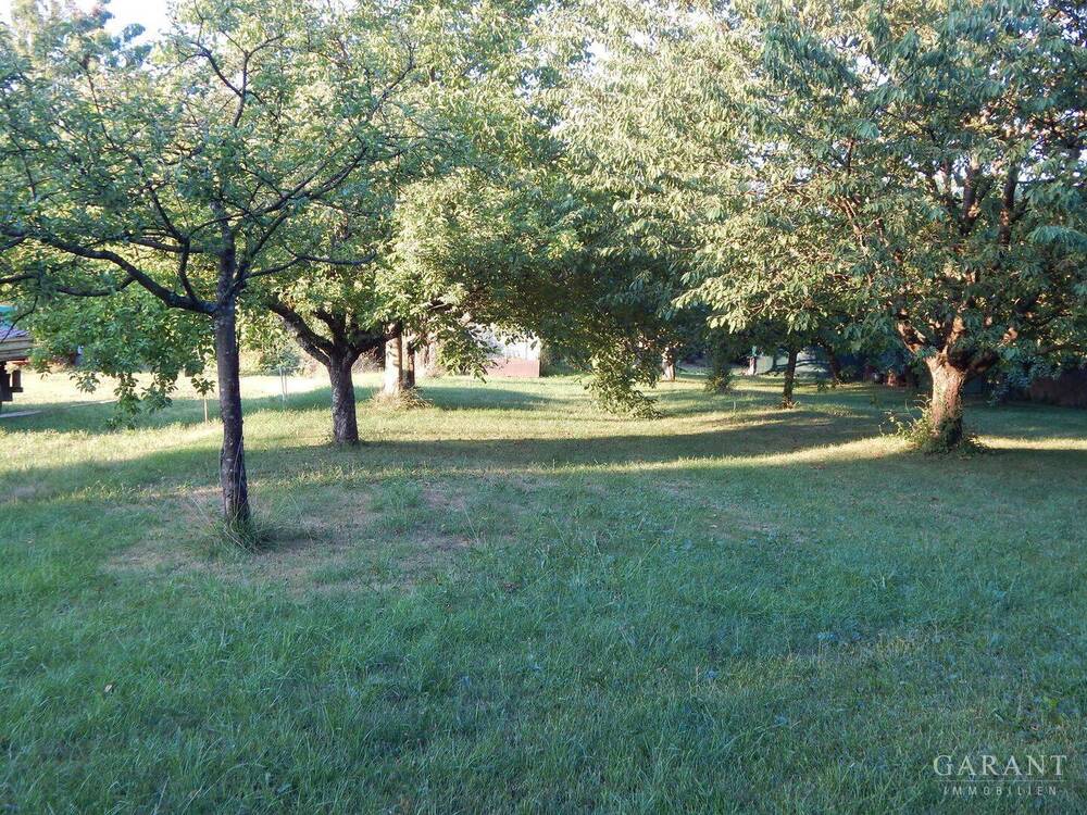 Thumbnail-Traumhaftes Grundstück in exzellenter Lage mit großzügigem Gartenparadies