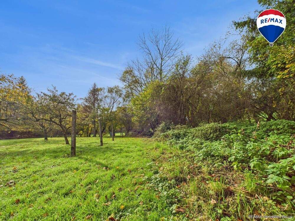 Thumbnail-Großes Grundstück in traumhafter Lage von Ballweiler (Wecklingen) - Natur & jede Menge Möglichkeiten