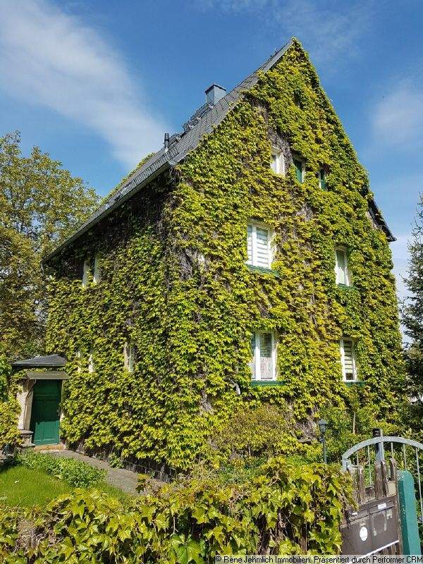 Thumbnail-Schönes, von wildem Wein umwachsenes Haus - keine Schäden, da der Wein sich nur mit Saugnäpfen hält.