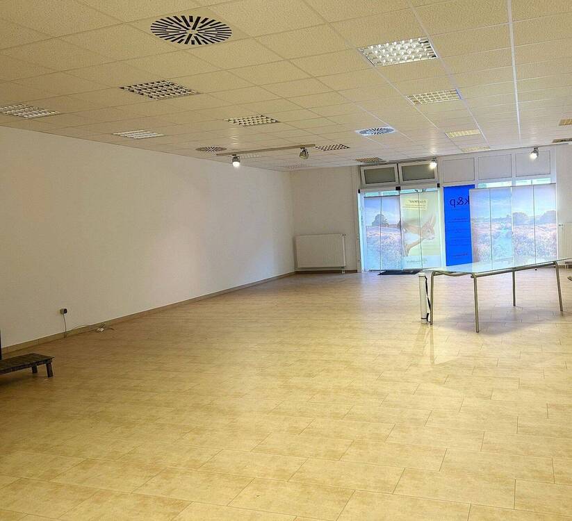 Thumbnail-BüroLadenlokal in zentraler Lage von Hornberg, heller Raum, barrierefrei, ab sofort zu vermieten