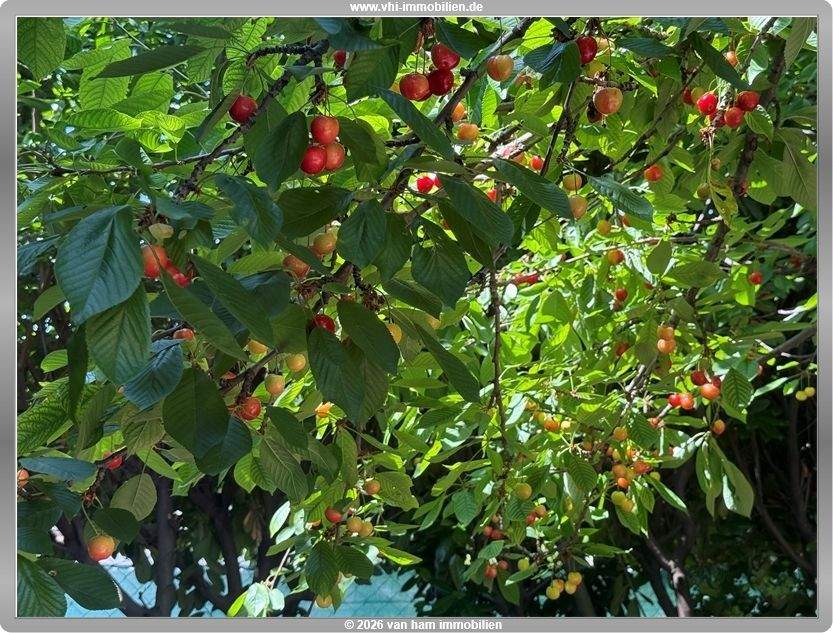Thumbnail-+++ Natur pur genießen: Ihr Zuhause in idyllischer Lage von Nierstein+++