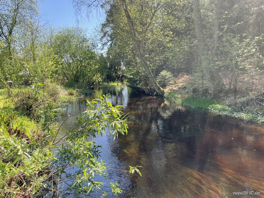 Beispielbild