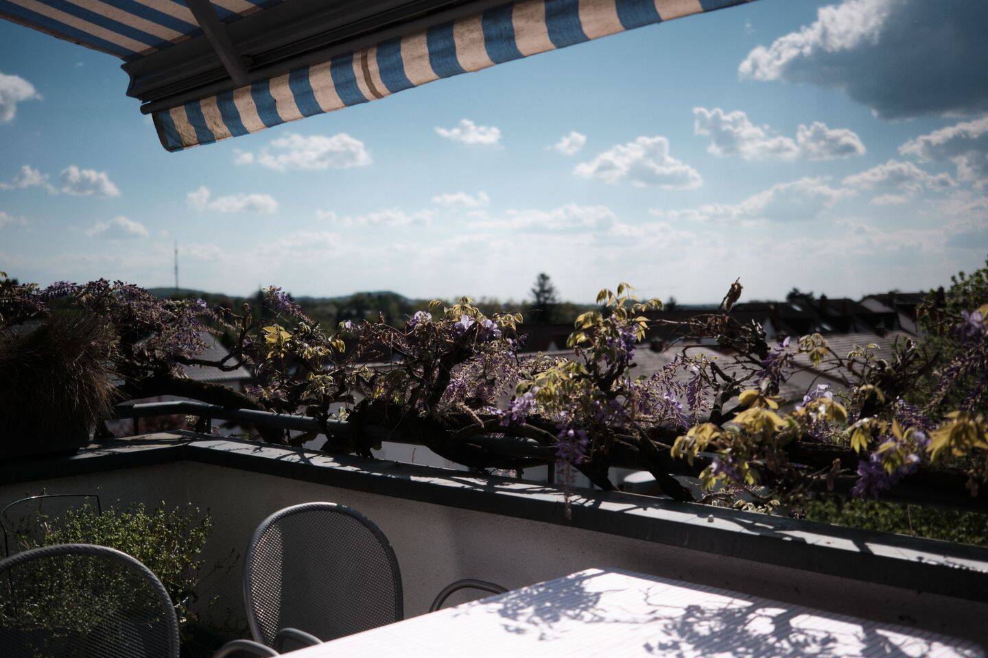 Thumbnail-Viel Licht, Dachterrasse und das Feld direkt vor der Tür
