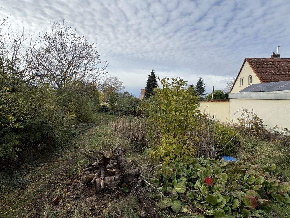 Thumbnail-Beste Voraussetzungen für Ihr ScanHaus - attraktives Baugrundstück