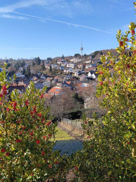 Thumbnail-1-2 FH + Bauplatz