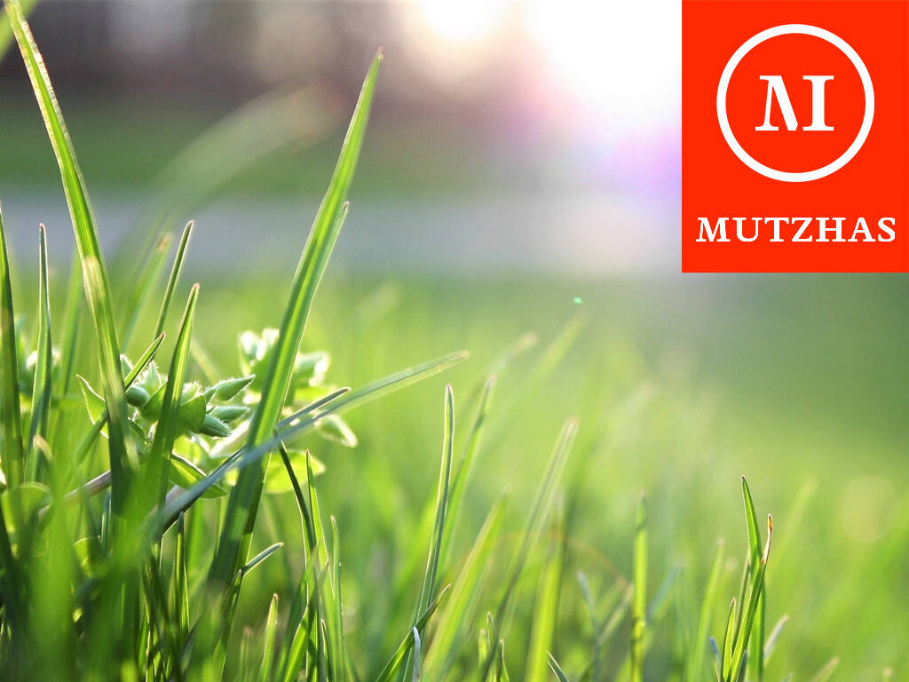 Thumbnail-MUTZHAS - Baugrundstück mit hohem Baurecht in Bestlage Neubiberg