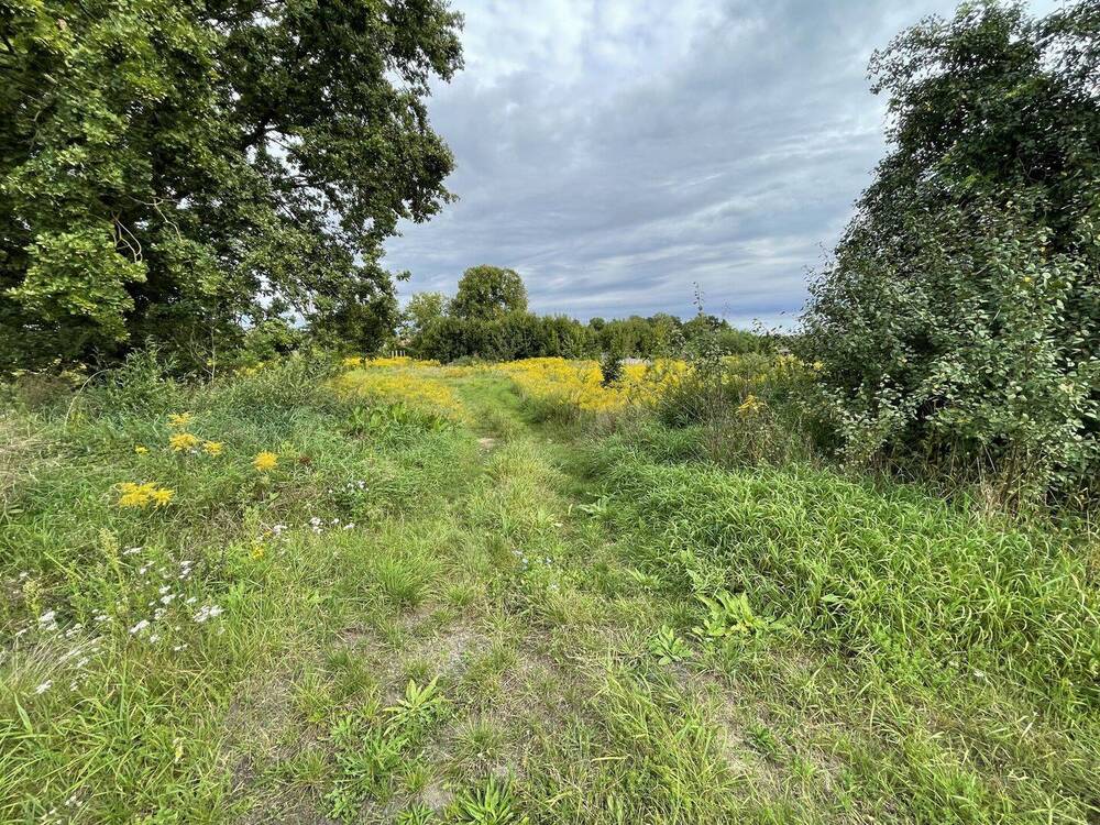 Thumbnail-Große Baufläche (12.888 m²) für Bauträger und Investoren in Briesen in Bahnhofsnähe