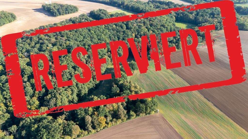 Thumbnail-Laubholzflächen in Lindau