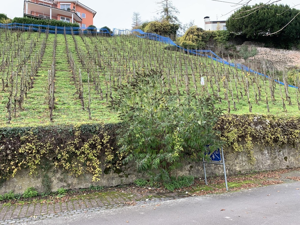 Straßenansicht