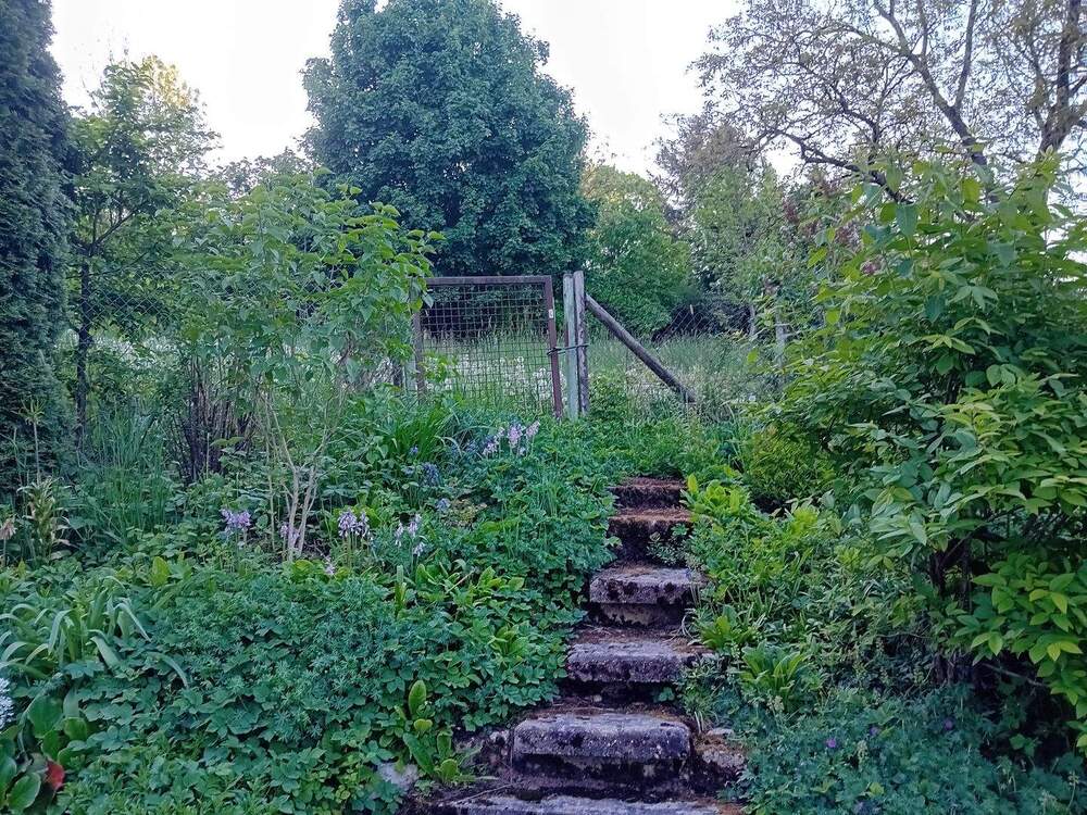 Thumbnail-Schorndorf: Interessantes Freizeitgrundstück (stadtnah)