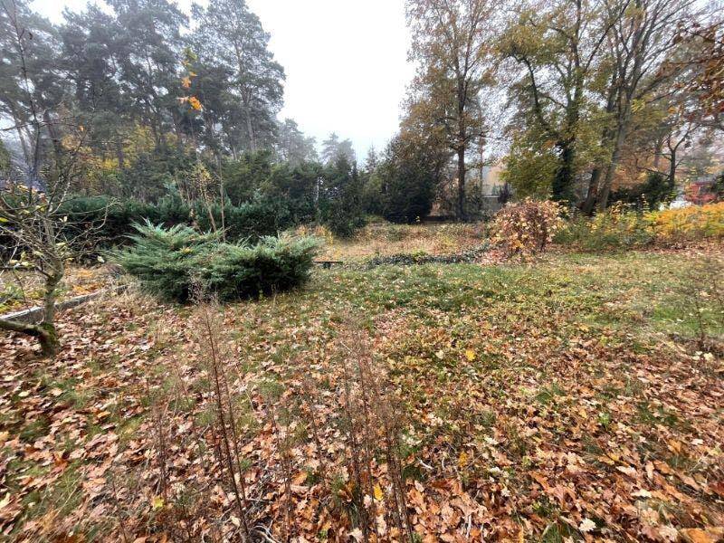 Thumbnail-Baugrundstück in gefragter Lage im schönen Schildow