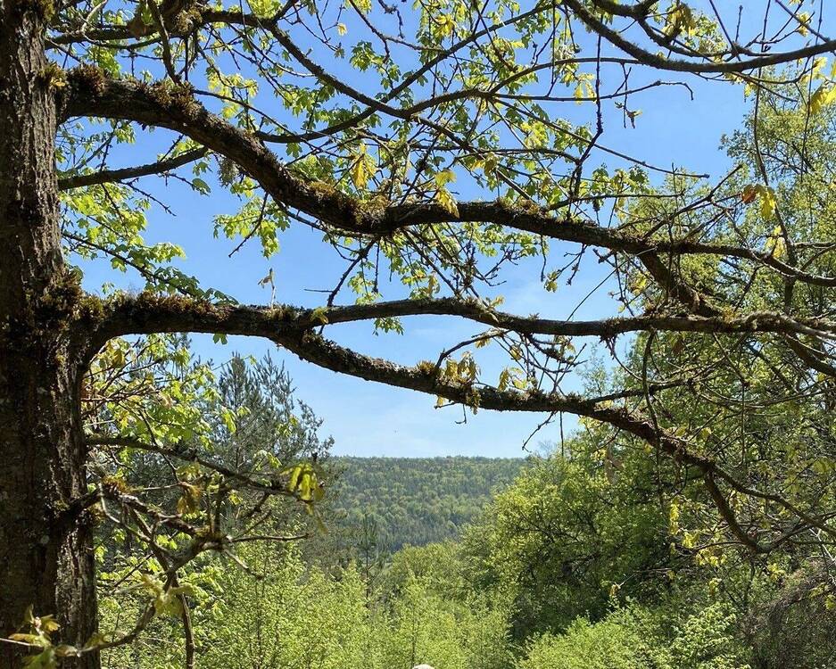 Thumbnail-Freizeitgrundstück auf der Girnitz - Nähe Regensburg