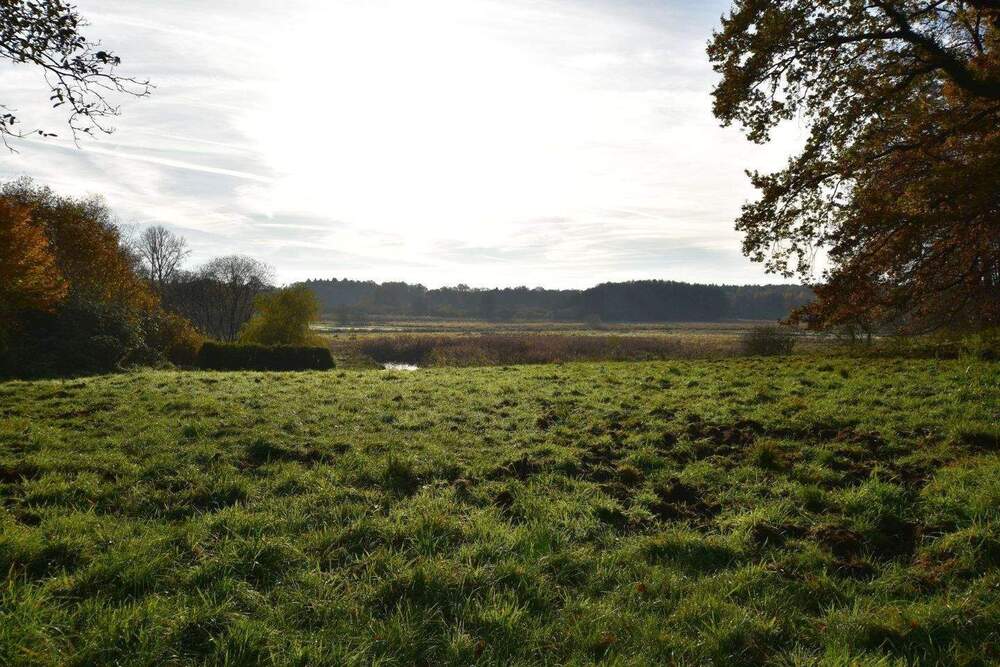 Thumbnail-Parkartiges Baugrundstück in 2. Reihe mit unverbaubarem Blick über die Billewiesen