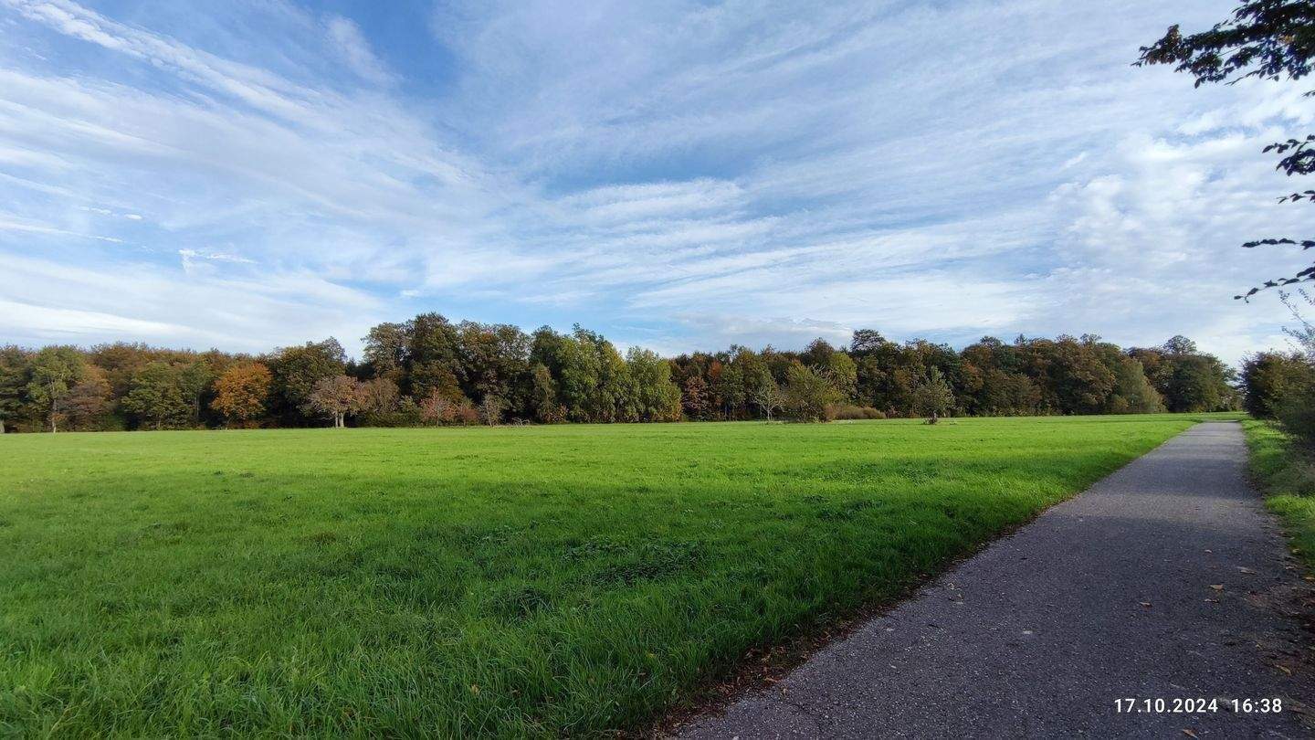 Thumbnail-Spitzen-Bauplatz für freistehendes EFH - in direkter Feldrandlage