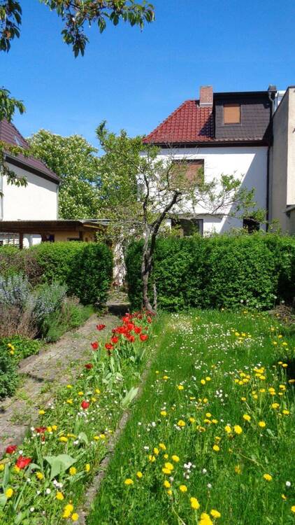 Objekt Blick aus dem Garten.JPG