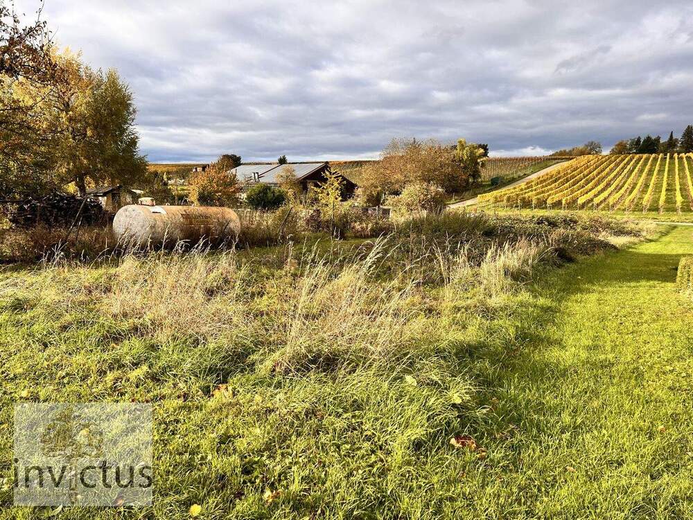 Thumbnail-Freizeitidylle pur - Ruhe, Sonne und Natur in den Weinbergen von Leingarten