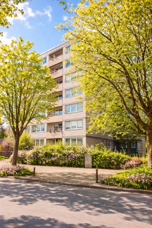 Thumbnail-***Schöne Wohnung mit Ausblick. Einziehen und Wohlfühlen.***