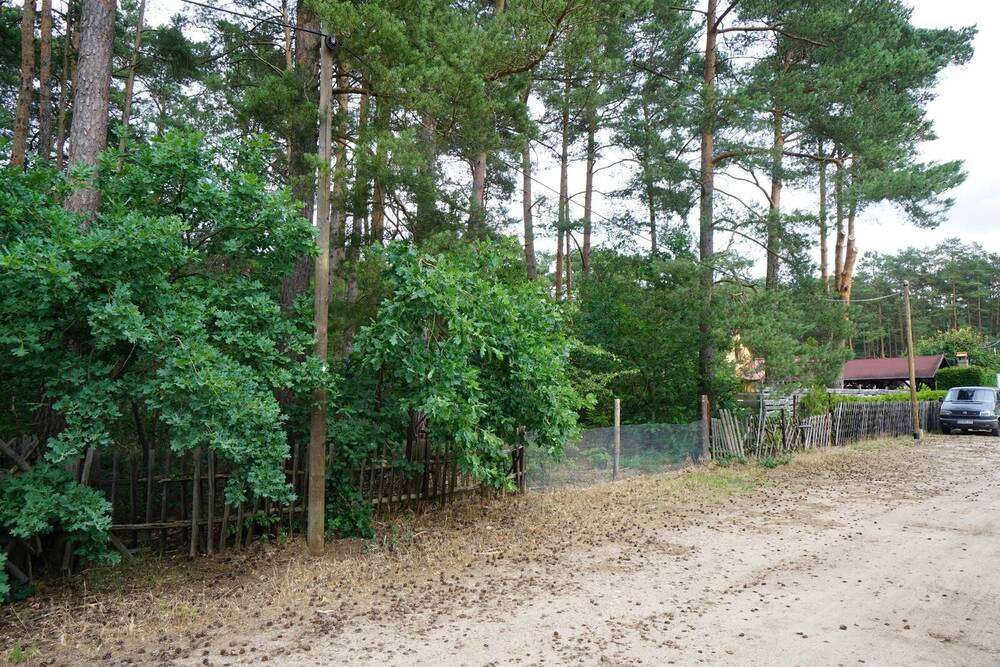 Thumbnail-Ein Baugrundstück in der Waldgemeinde Borkwalde